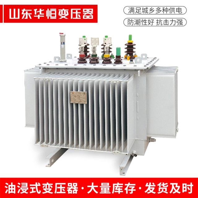 S13-10000/35清丰清丰清丰电力变压器