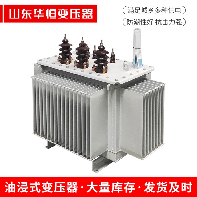 S13-10000/35清丰清丰清丰油浸式变压器厂家